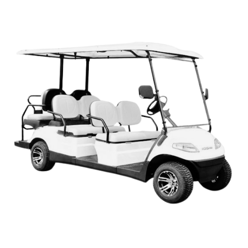 ICON EV - 6 Passenger (2017 - 2021)