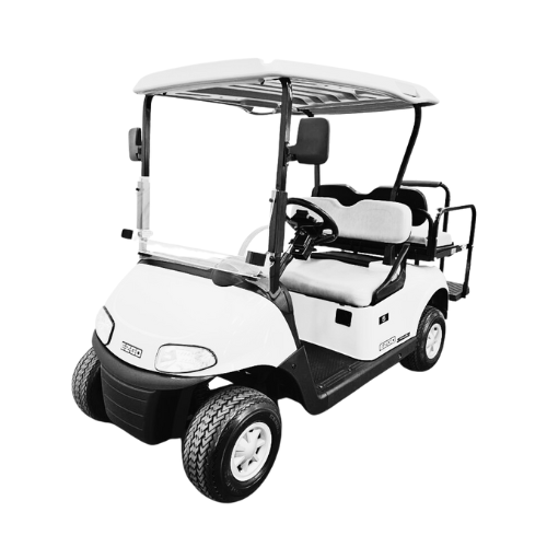 EZGO RXV (6 x 8v lead acid batteries)