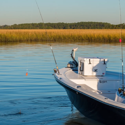 Trolling Motor Batteries