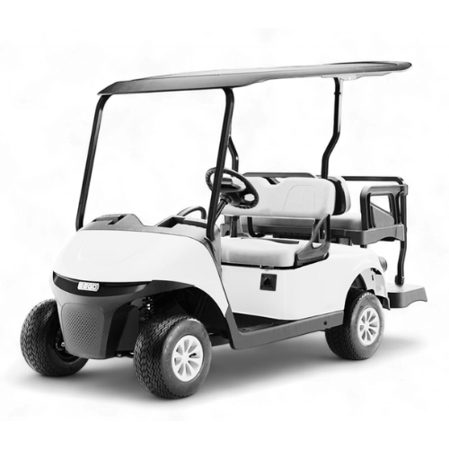 EZGO RXV (4 x 12v lead acid batteries)